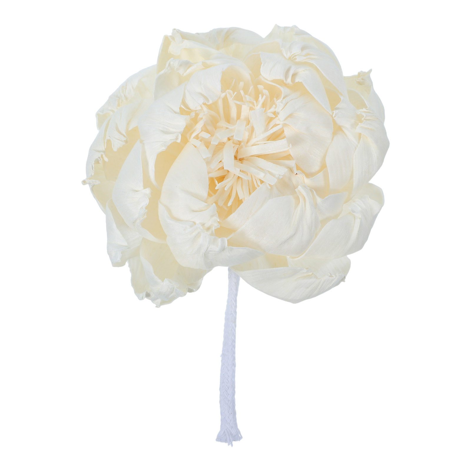 Peony Head Fragrance Diffuser  - مراجعة Home Fragrance Flowers وسعره