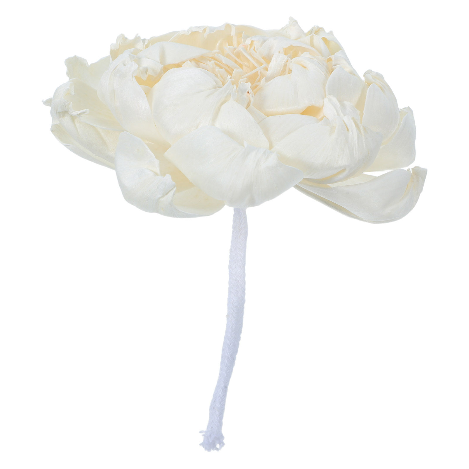 Peony Head Fragrance Diffuser  - مراجعة Home Fragrance Flowers وسعره