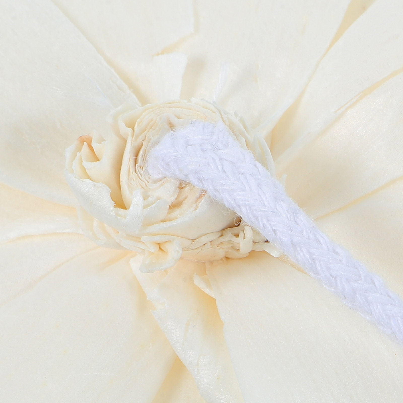 Peony Head Fragrance Diffuser  - مراجعة Home Fragrance Flowers وسعره