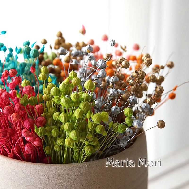 5g Preserved Flax Bean Natural - مراجعة Home Fragrance Flowers وسعره