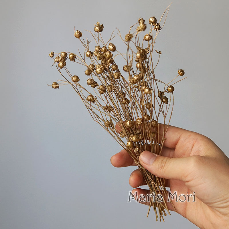 5g Preserved Flax Bean Natural - مراجعة Home Fragrance Flowers وسعره