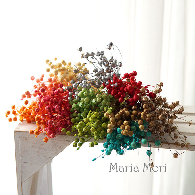 5g Preserved Flax Bean Natural - مراجعة Home Fragrance Flowers وسعره