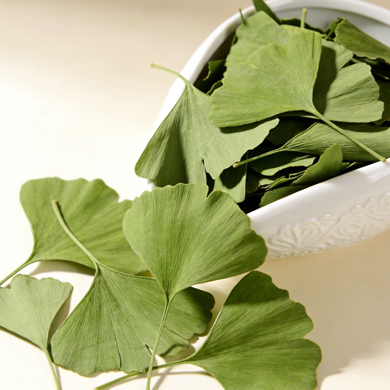 Quality Ginkgo Biloba Dried Le - مراجعة Quality Home Fragrance وسعره