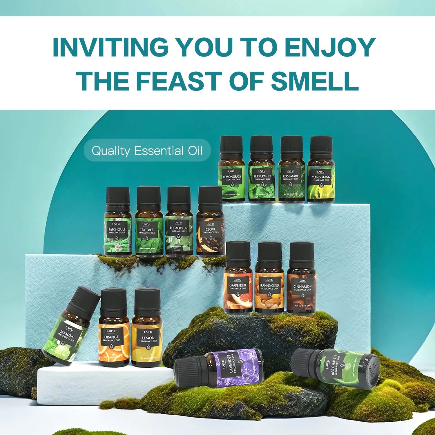 16x10ml Essential Oils Set for - مراجعة Fragrance Oil Set وسعره