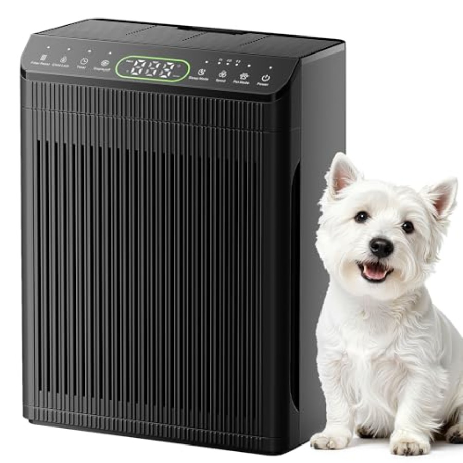 Air Purifiers for Home Large R - مراجعة Quality Home Fragrance وسعره
