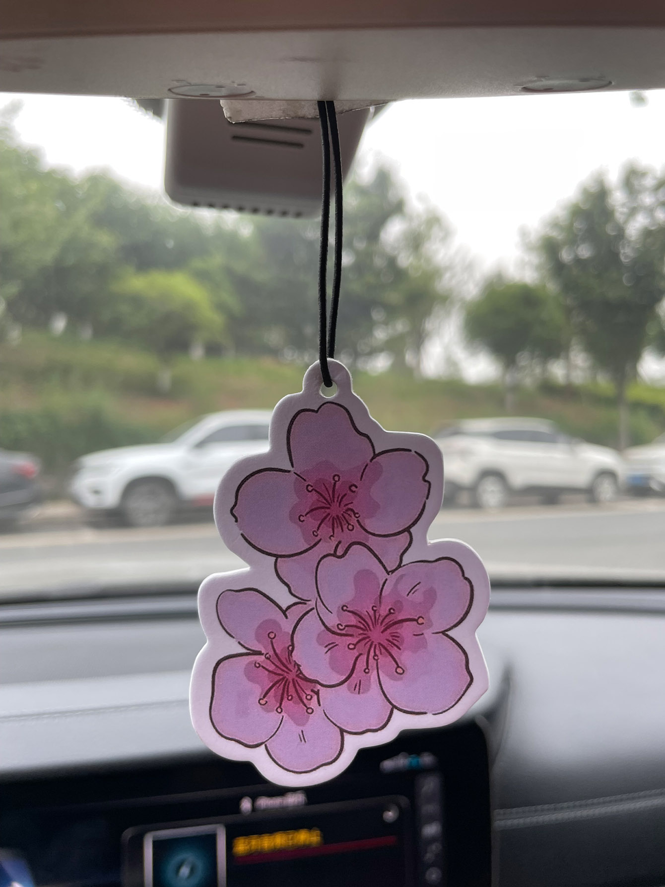 Sakura/Freesia Fresh Scent Fiv - مراجعة Home Fragrance That Lasts Long وسعره
