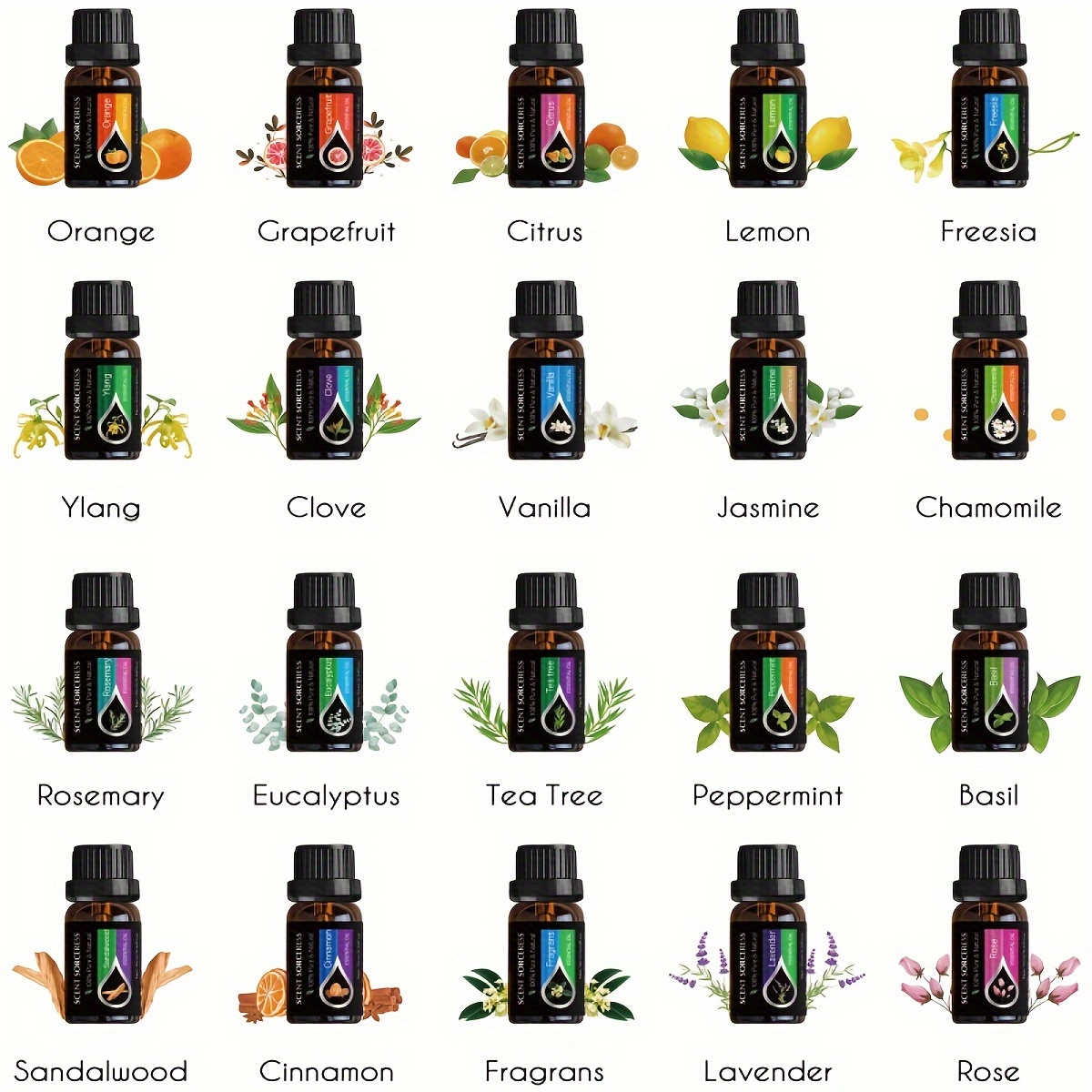 20pcs/set Black Classic Essent - مراجعة Fragrance Oil Set وسعره