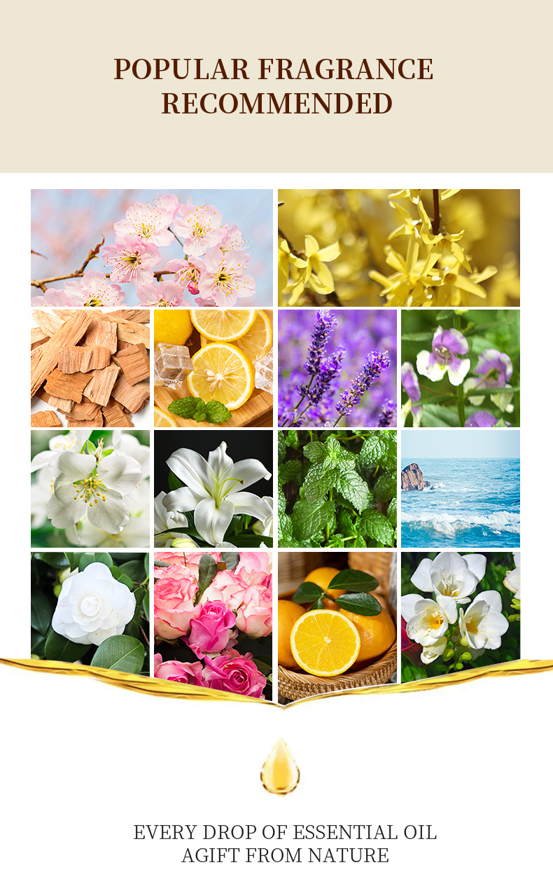 12 Flavors Set / Water-soluble - مراجعة Fragrance Oil Set وسعره